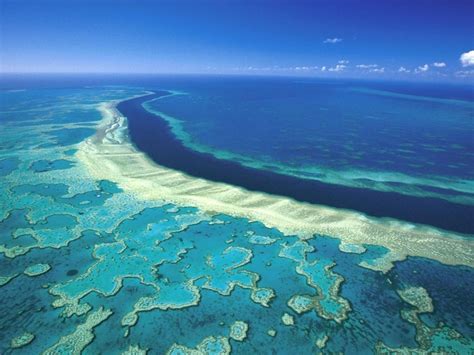 It’s one of the world’s largest connected coral reef systems, but。